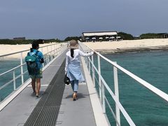 N{̌cǊ(P})C攼cA[X@OPGւ̓eʐ^1