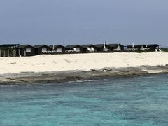 N{̌cǊ(P})C攼cA[X@OPGւ̓eʐ^2