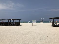 N{̌cǊ(P})C攼cA[X@OPGւ̓eʐ^3