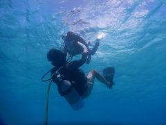 zԂ̃_CrOVbvTI.OCEANւ̓eʐ^1