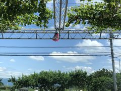 suhzin̑׉ʉւ̓eʐ^1