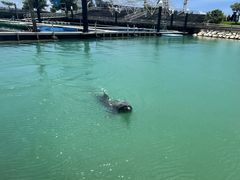 Ă[Ȃ̂ƂԌCւ̓eʐ^1