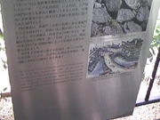 �T���v������̋I�ɘa�̎R�˓���Ɖ��~�Ղ̔�̓��e�ʐ^2