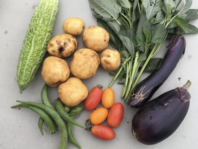 ���n��������؂���_�����n���_��