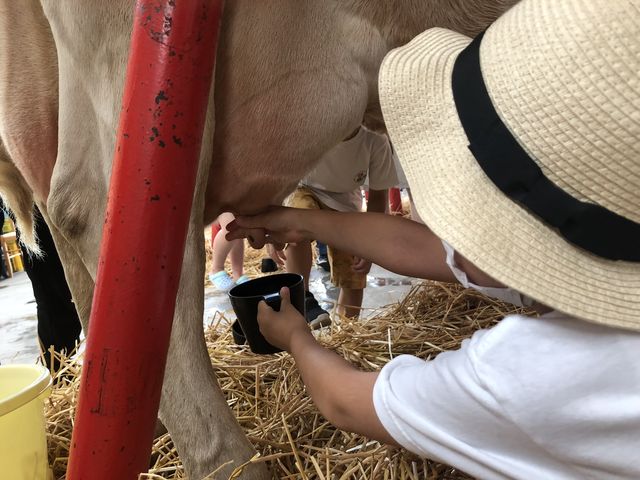 �̌��̂��Ƃ́A������ƋL�O�ʐ^���B��܂��B_�n�ӑ̌��q��