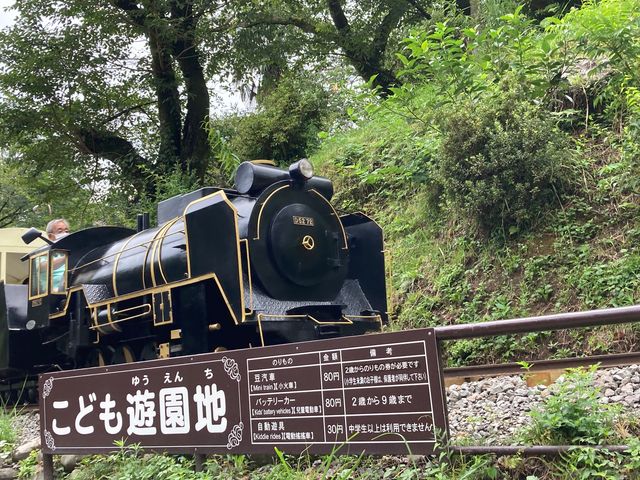 �隬�������ǂ��V���n_�隬�������ǂ��V���n