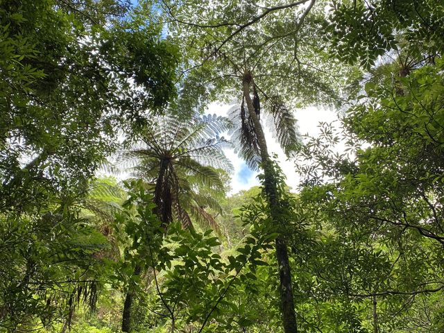 KChubNɍڂĂʐ^|Cg_όlbg[N