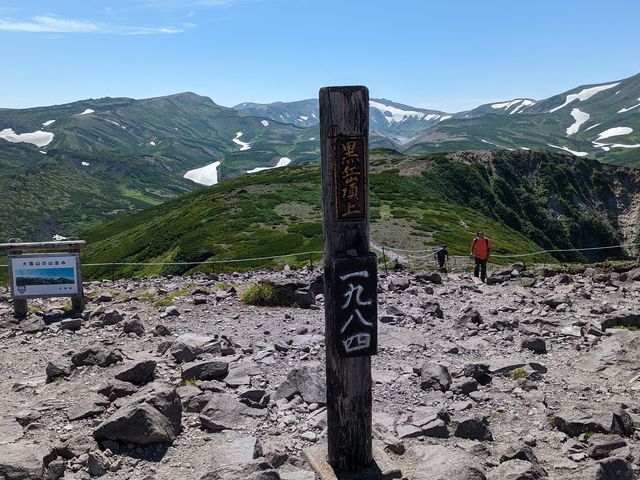 �R���̎ʐ^�ł��B_���R�i���x�j