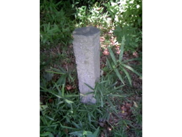 �O���w�O�̔�H_�O���w