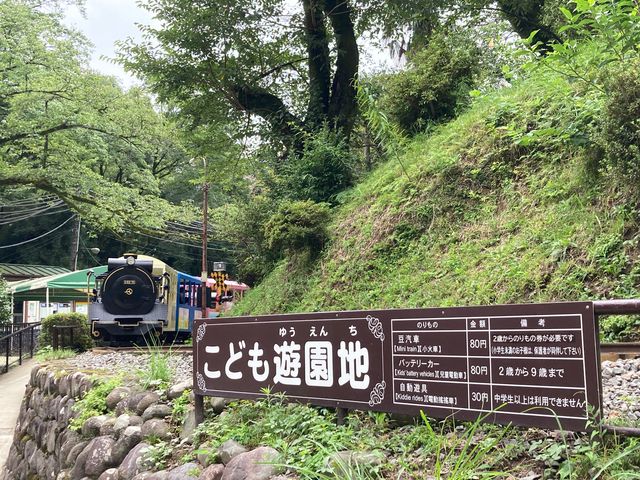 �隬�������ǂ��V���n_�隬�������ǂ��V���n