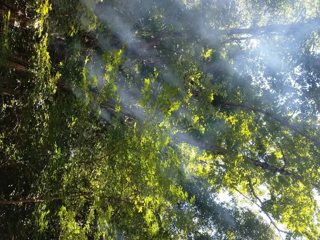 �e���g�T�E�i�̉������z���Ō��z�I�ȋ��_����喾�_