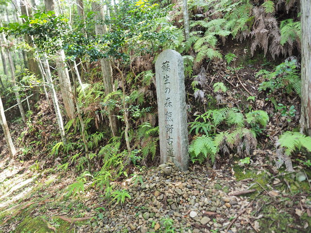 ����́@�{���́u�F��Ó����I�I�v
_�F��Ó�