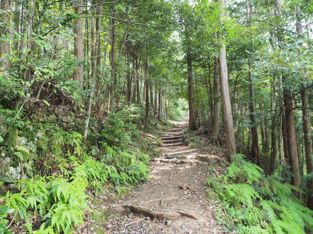 �u�F��Ó��v���y���߂��̂́A���̂�����܂Łi�}���ň����Ԃ����j_�F��Ó�