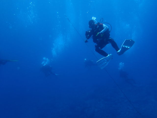 �ϒO�u���[_�k�C���_�C�r���O�V���b�v Poseidon