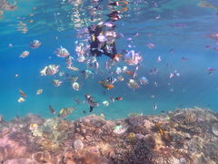 kinakoEGG_CrOVbvւ̓eʐ^1