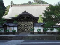 Goshuincho Sensoji Temple Handwritten Red Seal Included | eBay