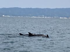 �܂��S�v�c�����I LOVE DOLPHIN �C�ƃI���S�[�� �a�q�X�ւ̓��e�ʐ^1