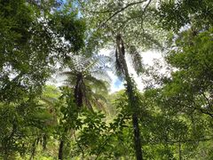 ƂƂ̊όlbg[Nւ̓eʐ^1