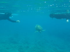 䂤񂳂̉vKChNuւ̓eʐ^1