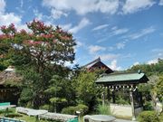 Wv̖{̃IncLC`E̓eʐ^1