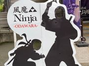 EbL[̏cjف@NINJAق̓eʐ^1