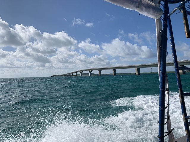 g̍Cƒrԑ勴_Marine Shop rW