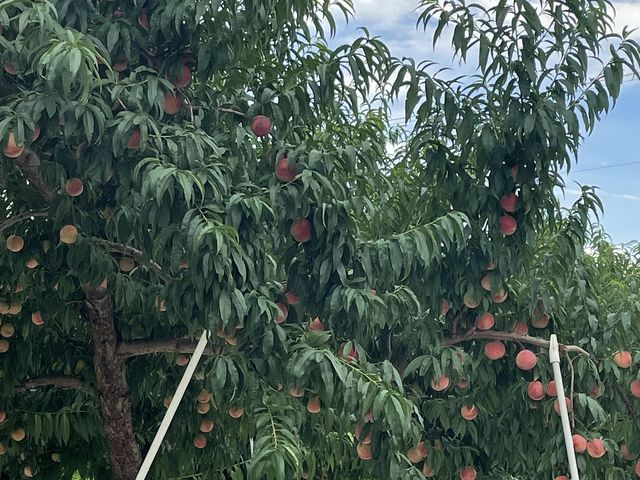 �����������ȓ��������ς�_�܂邹���ʎ���