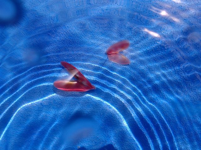 �n�[�g�^�̍��L_�t���[�E�F�C