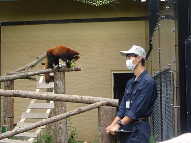 ������ƃ��b�T�[�p���__���R������