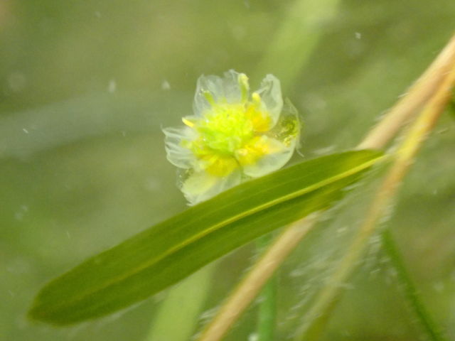 x┌΁@cĂoCJ̉_OfE||