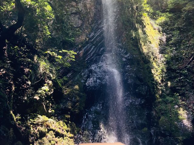 CtɂꏊAƑ̉B
ĂɖA΂}CiXCIB_쌴̔