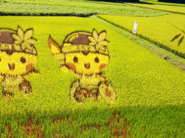 1`ꏊĂv艓BăRrjœq˂BƐ`ׂB_̉w ̍΂