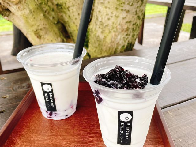 �����u���[�x���[�\�[�X�̃h�����N
�������������I_Blueberry HILLS ����