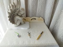 Ƃ񂳂̃t[T[N@Ԃւ̓eʐ^1