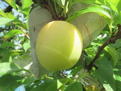 freedom̒r̒[_ւ̓eʐ^1