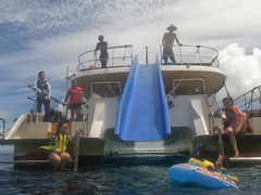 ₫񂳂̌cǊ(P})C攼cA[X@OPGւ̓eʐ^1