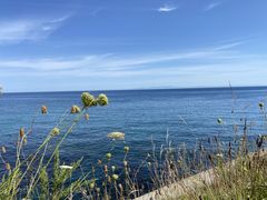 Yumiyumi̖kCMόl͂ȃ^NV[ւ̓eʐ^1