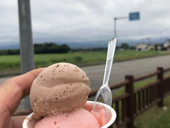 maro����̂ւ̓��e�ʐ^2