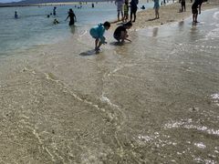 ẴbL[N[o[ւ̓eʐ^1