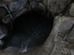 Ă̓̕􉷐OEړւ̓eʐ^1