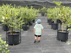 ݂񂳂Blueberry HILLS ւ̓eʐ^3