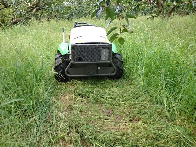 ܂͖wǎgp܂ŷ_ؔ_