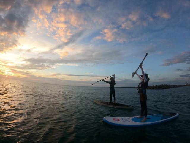 �ō��̃T���Z�b�g�Ɋ���_styleebase