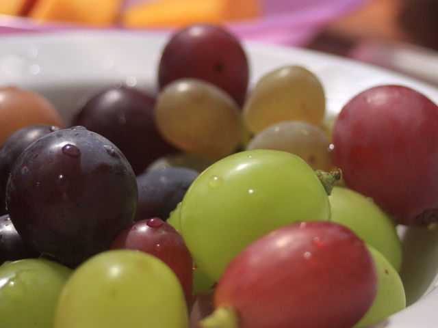 �G�߂̂Ԃǂ��Ɠ��̎��H_�É��b�ʉ�