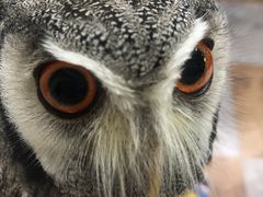 Ȃ̂ρ[@tNEJtFr܂ւ̓eʐ^1