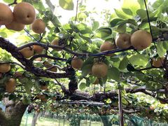 ���񂵂낤����̏������ւ̓��e�ʐ^1