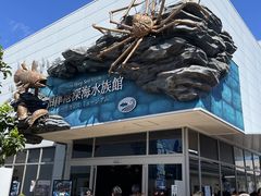 炳炳񂲂̏Í`[Cف`V[JXE~[WA`ւ̓eʐ^1