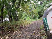 EbL[̋ʐ㐅Γ̓eʐ^1