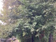 EbL[̋ʐ㐅Γ̓eʐ^1