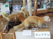 }ReB[̎OrW^[Z^[̓eʐ^1